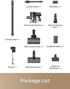 dreame R10 Pro Cordless Vacuum Cleaner, 150 AW suction, lightweight design for carpets and pet hair