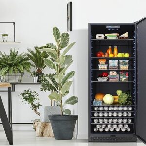 DE210FRGWB Refrigerator with adjustable glass shelves and blue LED lighting in black