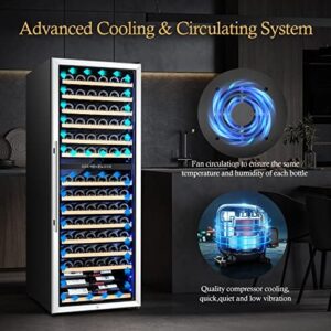 BODEGA Wine Cooler Refrigerator with Double-Layer Tempered Glass Door  