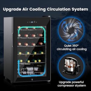 17 Inch Wine Cooler Refrigerator with double-layer tempered glass door and professional compressor