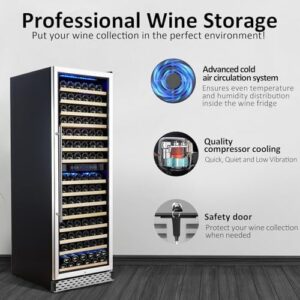 Wine Cooler Refrigerator, 24 Inch Dual Zone Wine Fridge with Stainless Steel and Glass Door