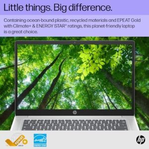 HP Chromebook 14-inch Laptop with FHD Display and Intel N100 Processor