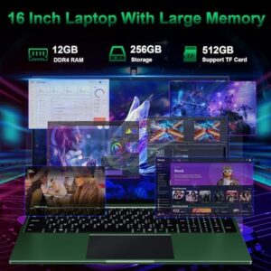 16 inch laptop with 12GB RAM and 256GB storage, displaying FHD IPS screen  